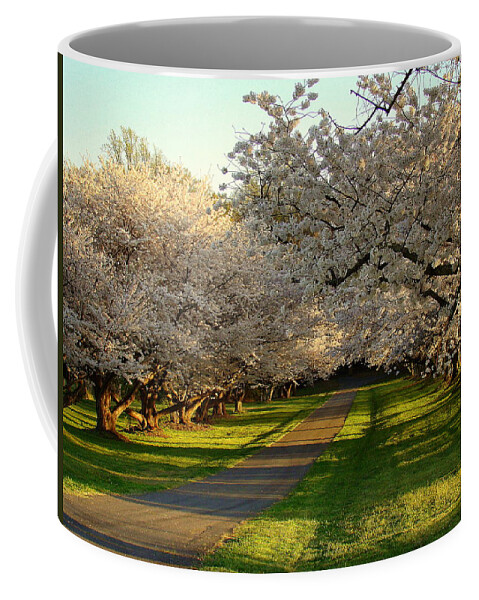 Fine Art Coffee Mug featuring the photograph Spring Road by Rodney Lee Williams