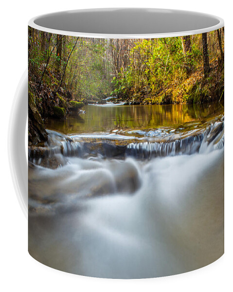 Stream Coffee Mug featuring the photograph Spring Stream by Parker Cunningham