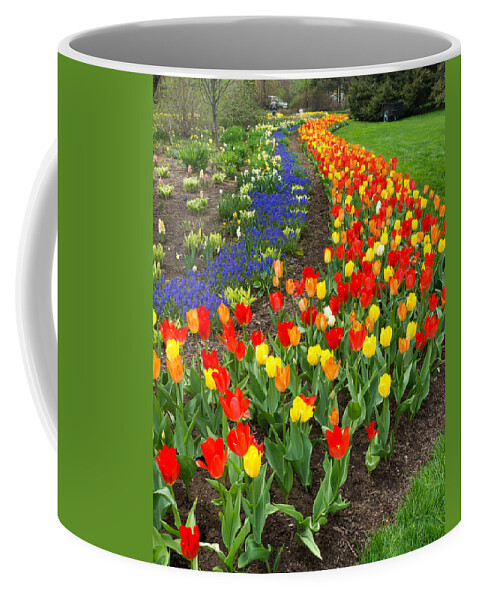 Blue Coffee Mug featuring the photograph Spring Streaming By by Bill Pevlor