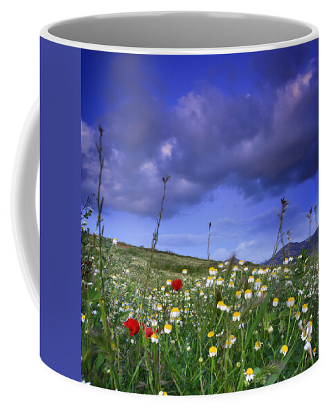 Landscape Coffee Mug featuring the photograph Spring sunset WIndy days by Guido Montanes Castillo