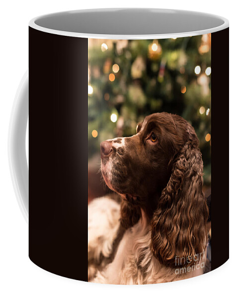 Dog Coffee Mug featuring the photograph Springer Spaniel by Matt Malloy