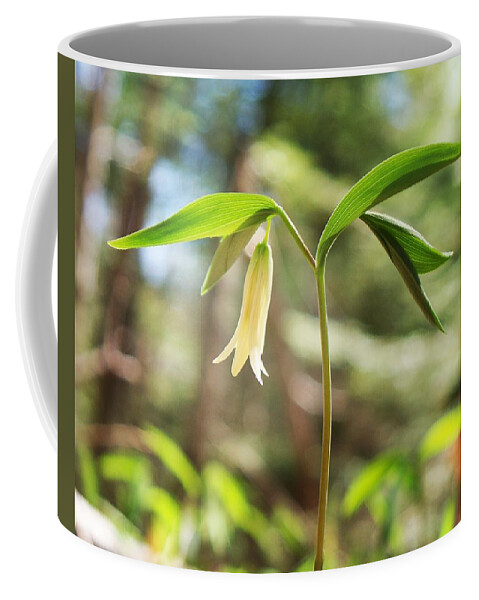 Wildflower Coffee Mug featuring the photograph Spring's Arrival by Joy Nichols