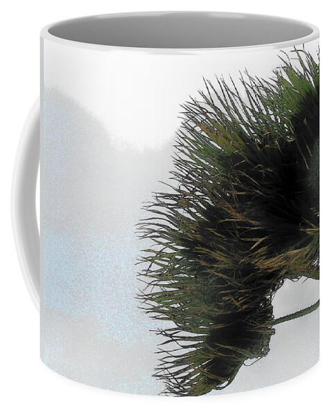 Floral Coffee Mug featuring the photograph SRQ Wind #2 by Strangefire Art    Scylla Liscombe