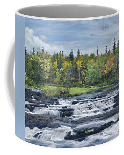 533812 Coffee Mug featuring the photograph St Louis River Jay Cooke State Park by Tim Fitzharris