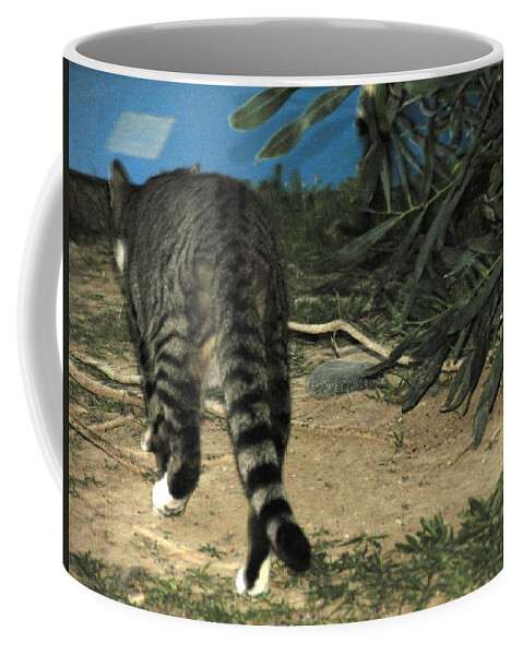 Stalker Coffee Mug featuring the photograph Stalker by Anita Dale Livaditis
