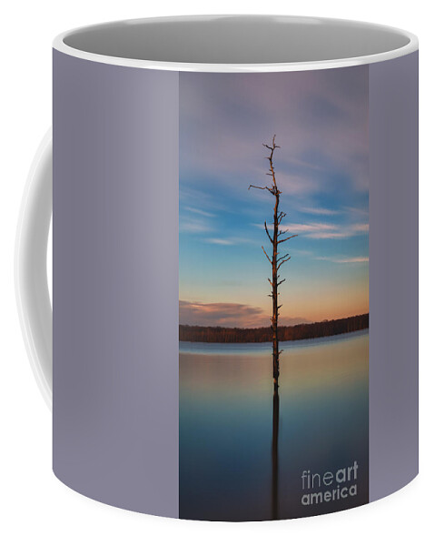 Stand Alone Coffee Mug featuring the photograph Stand Alone 16x9 Crop by Michael Ver Sprill