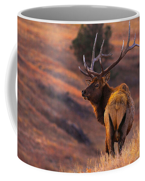 Animal Coffee Mug featuring the photograph Stand Alone by Kadek Susanto