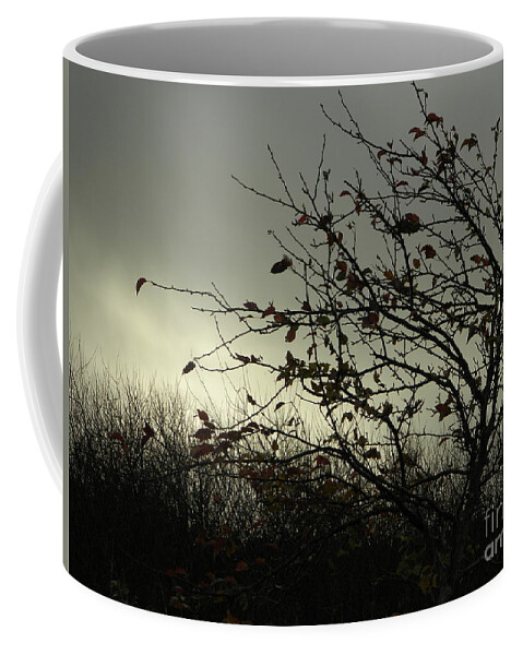 Tree Coffee Mug featuring the photograph Stand Strong by Gallery Of Hope 