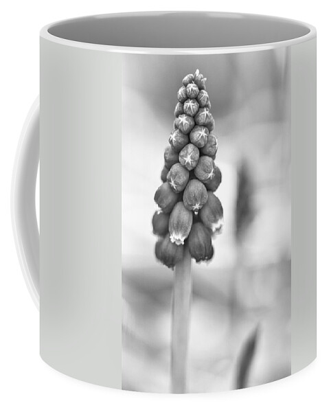 Muscari Coffee Mug featuring the photograph Star Cluster by Caitlyn Grasso