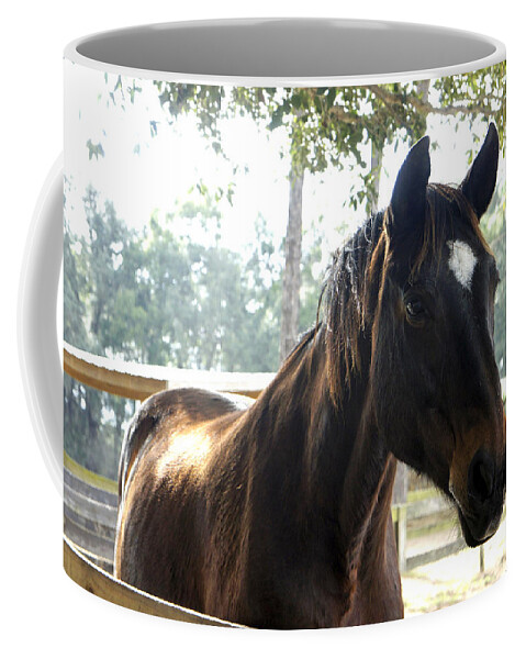 Mill Creek Farm Coffee Mug featuring the photograph Star by Laurie Perry
