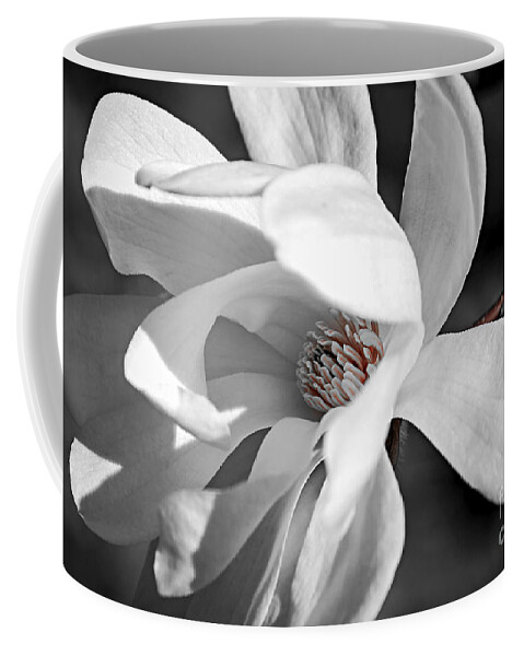 Magnolia Coffee Mug featuring the photograph Star Magnolia flower by Elena Elisseeva