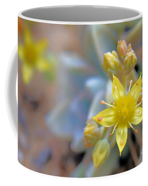 Yellow Flower Coffee Mug featuring the photograph Starburst by Kelly Holm