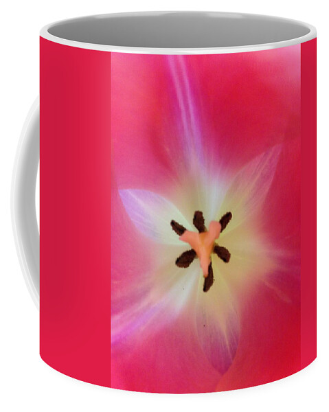 Tulips Coffee Mug featuring the photograph Starfish Tulip by Marian Lonzetta
