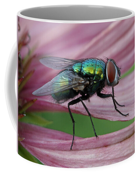 Fly Coffee Mug featuring the photograph Start Your Engines by Juergen Roth