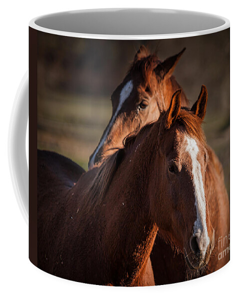 Horses Coffee Mug featuring the photograph Stay Close by Ana V Ramirez