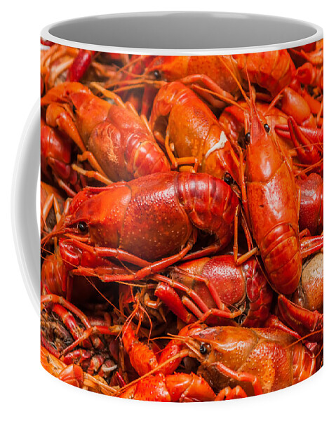 Animal Coffee Mug featuring the photograph Steamed Crawfish by Alex Grichenko