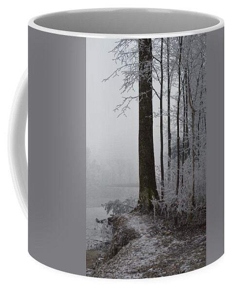 Landscape Coffee Mug featuring the photograph Steep And Frost by Felicia Tica
