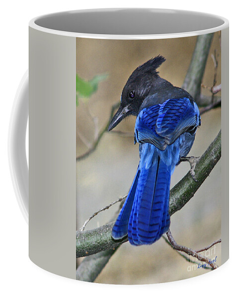 Birds Coffee Mug featuring the photograph Stellar's Jay by Kenny Bosak