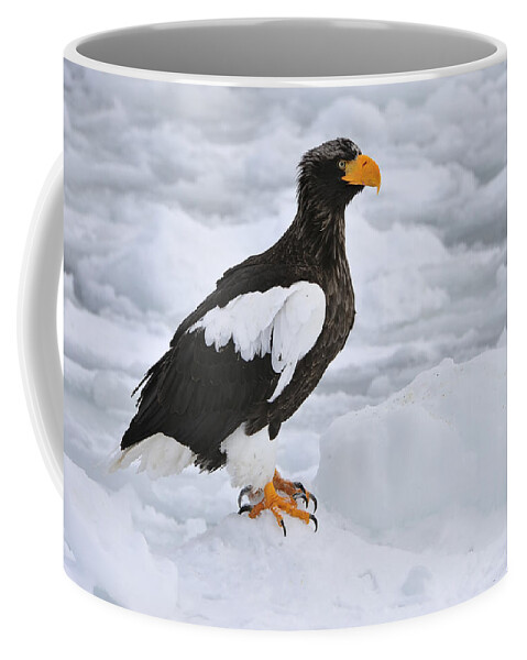 Thomas Marent Coffee Mug featuring the photograph Stellers Sea Eagle Hokkaido Japan by Thomas Marent