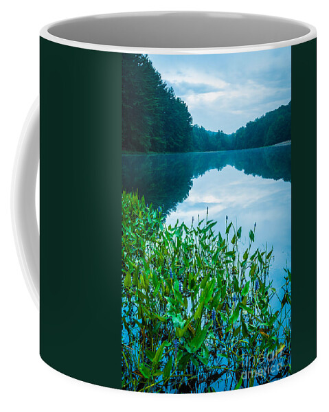 Family Pontederiaceae (pickerelweed Family) Coffee Mug featuring the photograph Stillness on Schreeder Pond by JG Coleman