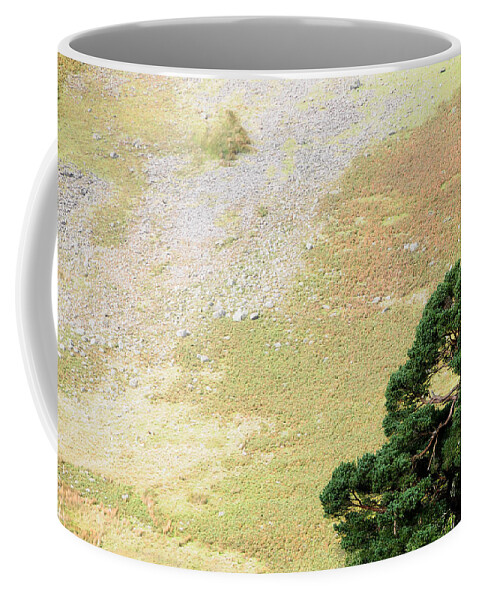 Ireland Coffee Mug featuring the photograph Stillness. Wicklow Mountains. Ireland by Jenny Rainbow