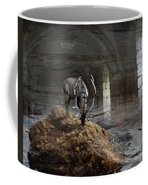 Deer Coffee Mug featuring the photograph Stillness by Yvonne Wright