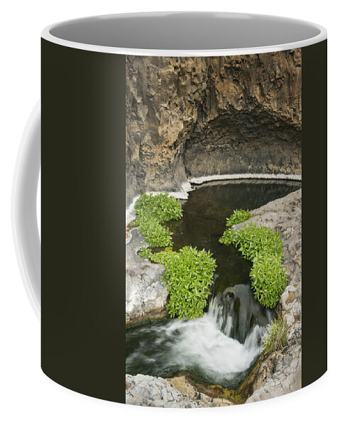 Feb0514 Coffee Mug featuring the photograph Stream In Desert Canyon Mccartney Creek by Kevin Schafer