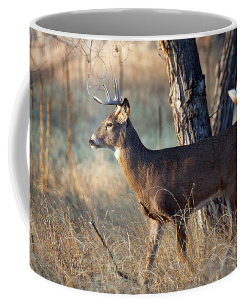 Deer Coffee Mug featuring the photograph Strutting Buck by Jim Garrison