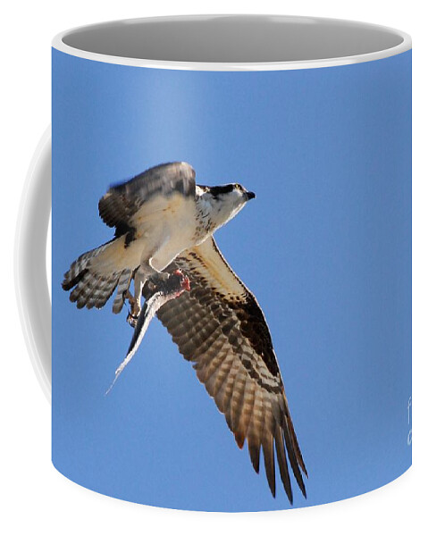 Osprey Coffee Mug featuring the photograph Success by Quinn Sedam