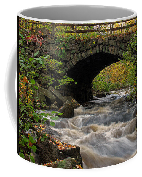 New Coffee Mug featuring the photograph Sudbury River by Juergen Roth