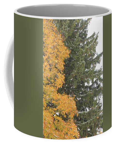 Christmas Tree Coffee Mug featuring the photograph Sugar Maple and Evergreen by Valerie Collins