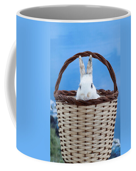 White Coffee Mug featuring the photograph sugar the easter bunny 2 - A curious and cute white rabbit in a hand basket by Pedro Cardona Llambias