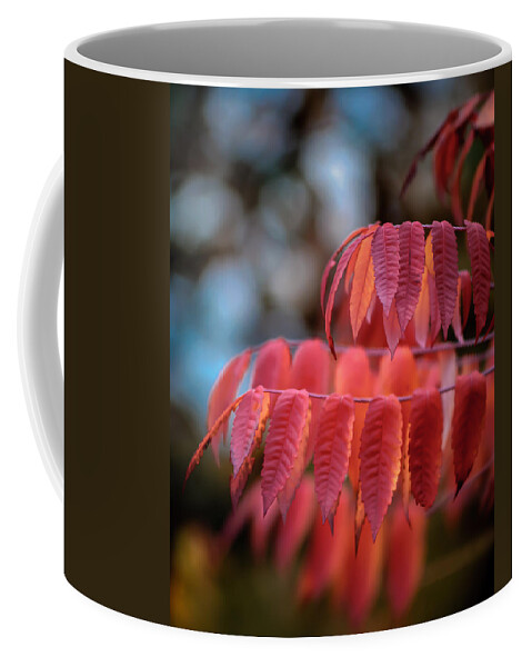 Sumac Coffee Mug featuring the photograph Sumac Glow by James Barber