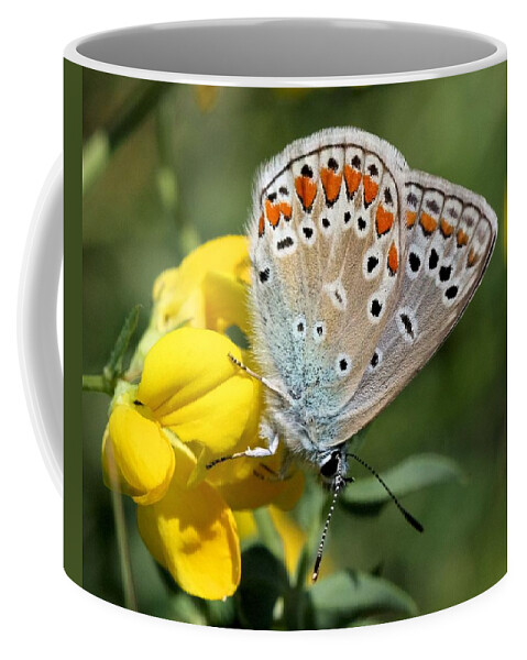 European Common Blue Butterfly Coffee Mug featuring the photograph Summer beauty by Doris Potter