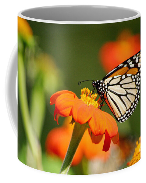 Monarch Coffee Mug featuring the photograph Summer Beauty by Living Color Photography Lorraine Lynch