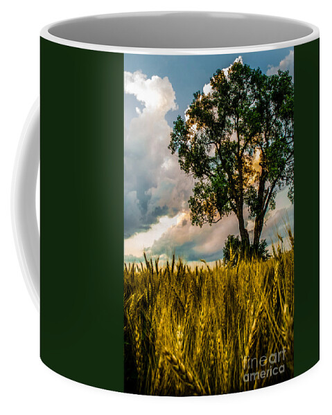 Archbold Coffee Mug featuring the photograph Summer Evening After A Rain by Michael Arend