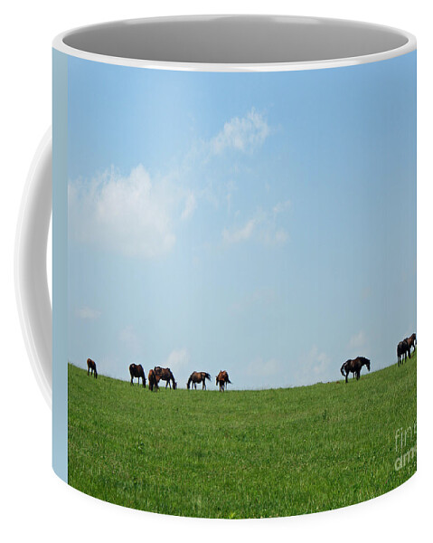 Thoroughbreds Coffee Mug featuring the photograph Summer Grazing by Roger Potts