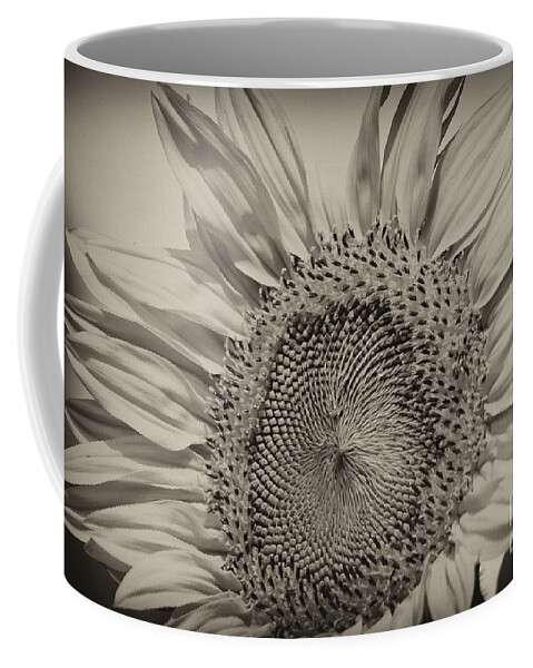 Sunflower Coffee Mug featuring the photograph Summer Sunflower by Wilma Birdwell