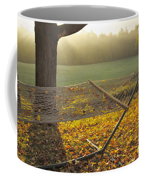 Vermont Coffee Mug featuring the photograph Summer's Repose by Alice Mainville