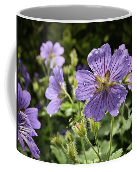 Nature Coffee Mug featuring the photograph Sun bathed Geranium by Spikey Mouse Photography