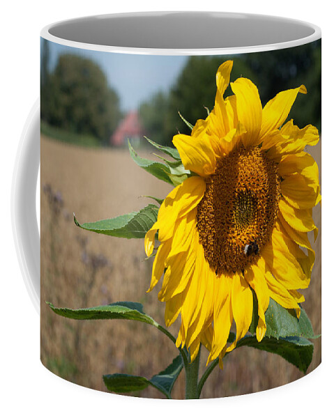 Winterpacht Coffee Mug featuring the photograph Sun Flower Fields by Miguel Winterpacht
