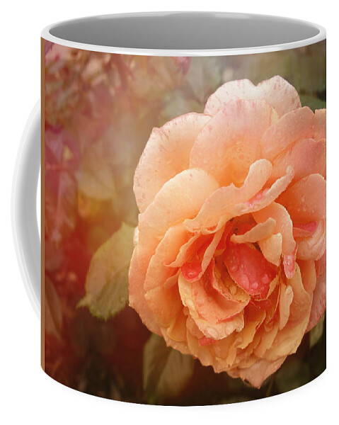 Loose Park Kcmo Coffee Mug featuring the photograph Sun Kissed Rose by Stephanie Hollingsworth