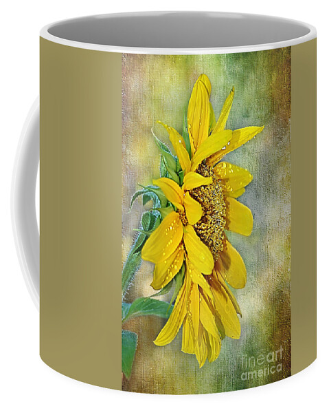 Photography Coffee Mug featuring the photograph Sun Shower on Sunflower by Kaye Menner