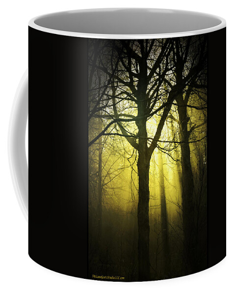 Usa Coffee Mug featuring the photograph Sun thru the foggy path by LeeAnn McLaneGoetz McLaneGoetzStudioLLCcom