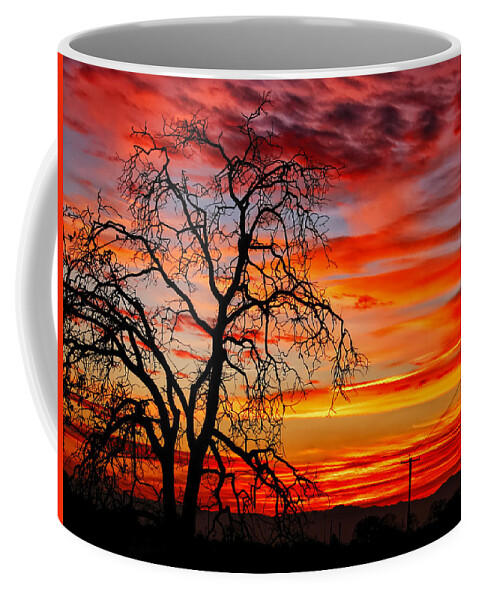 Sunset Photos Coffee Mug featuring the photograph Sundown on Jeffcoat by Kathleen Bishop