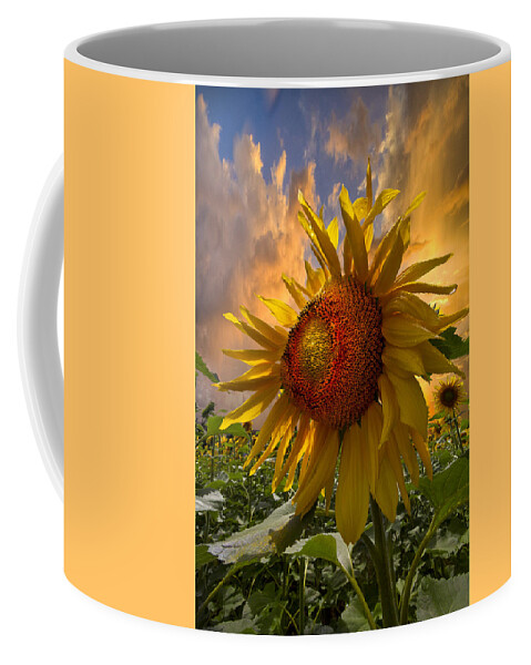 Appalachia Coffee Mug featuring the photograph Sunflower Dawn by Debra and Dave Vanderlaan