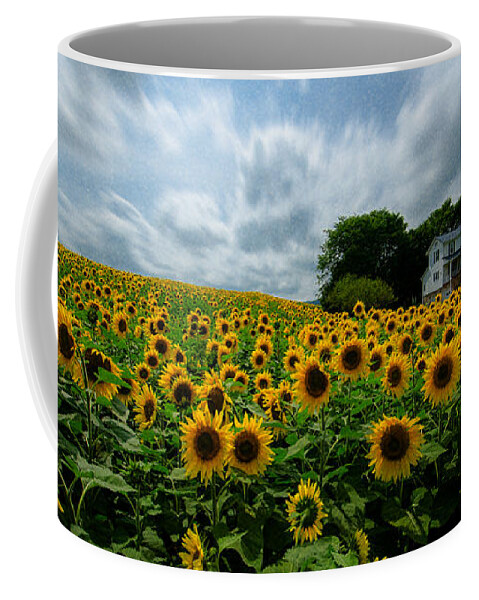 Sunflower Field Coffee Mug featuring the photograph Sunflower field by Crystal Wightman