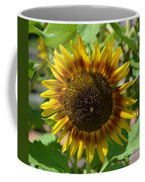 Sunflower Glory Coffee Mug featuring the photograph Sunflower Glory by Luther Fine Art
