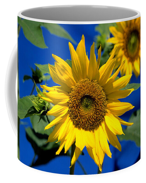 Agriculture Coffee Mug featuring the photograph Sunflower by John W. Bova