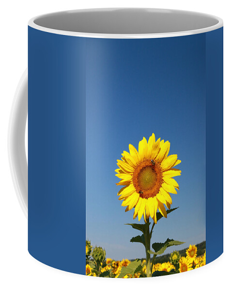 Sussex County Sunflower Maze Coffee Mug featuring the photograph Sunflower Nirvana 46 by Allen Beatty